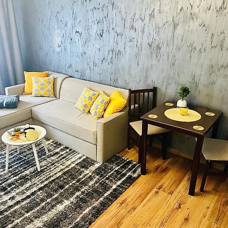 S&S Apartment Studio At Ground Floor Timisoara Town !!! Parcare La Locatie !! المظهر الخارجي الصورة
