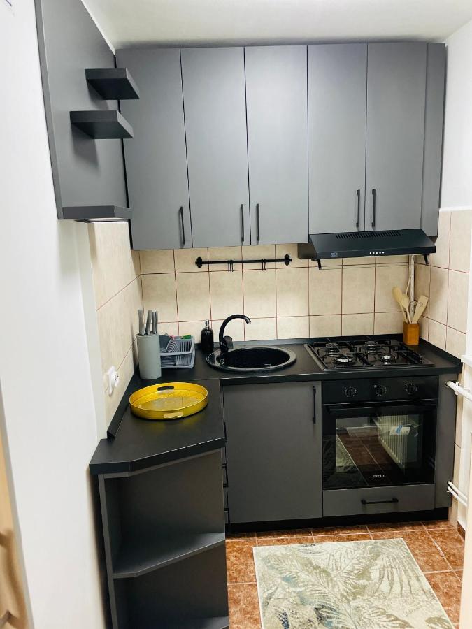 S&S Apartment Studio At Ground Floor Timisoara Town !!! Parcare La Locatie !! المظهر الخارجي الصورة
