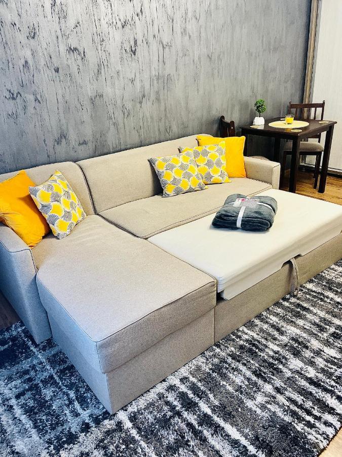 S&S Apartment Studio At Ground Floor Timisoara Town !!! Parcare La Locatie !! المظهر الخارجي الصورة
