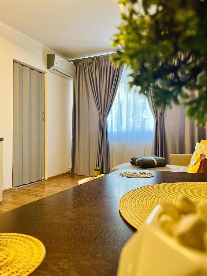 S&S Apartment Studio At Ground Floor Timisoara Town !!! Parcare La Locatie !! المظهر الخارجي الصورة