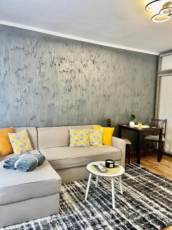 S&S Apartment Studio At Ground Floor Timisoara Town !!! Parcare La Locatie !! المظهر الخارجي الصورة