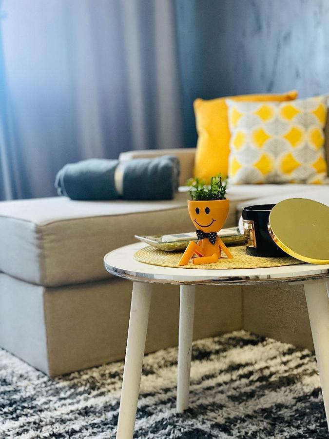 S&S Apartment Studio At Ground Floor Timisoara Town !!! Parcare La Locatie !! المظهر الخارجي الصورة