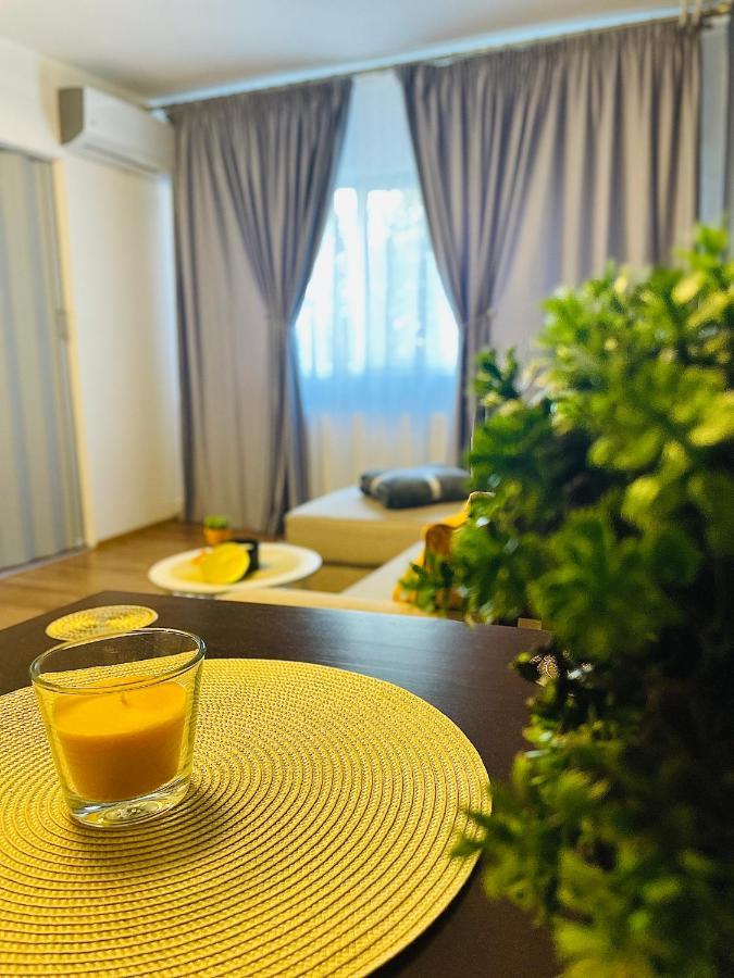 S&S Apartment Studio At Ground Floor Timisoara Town !!! Parcare La Locatie !! المظهر الخارجي الصورة