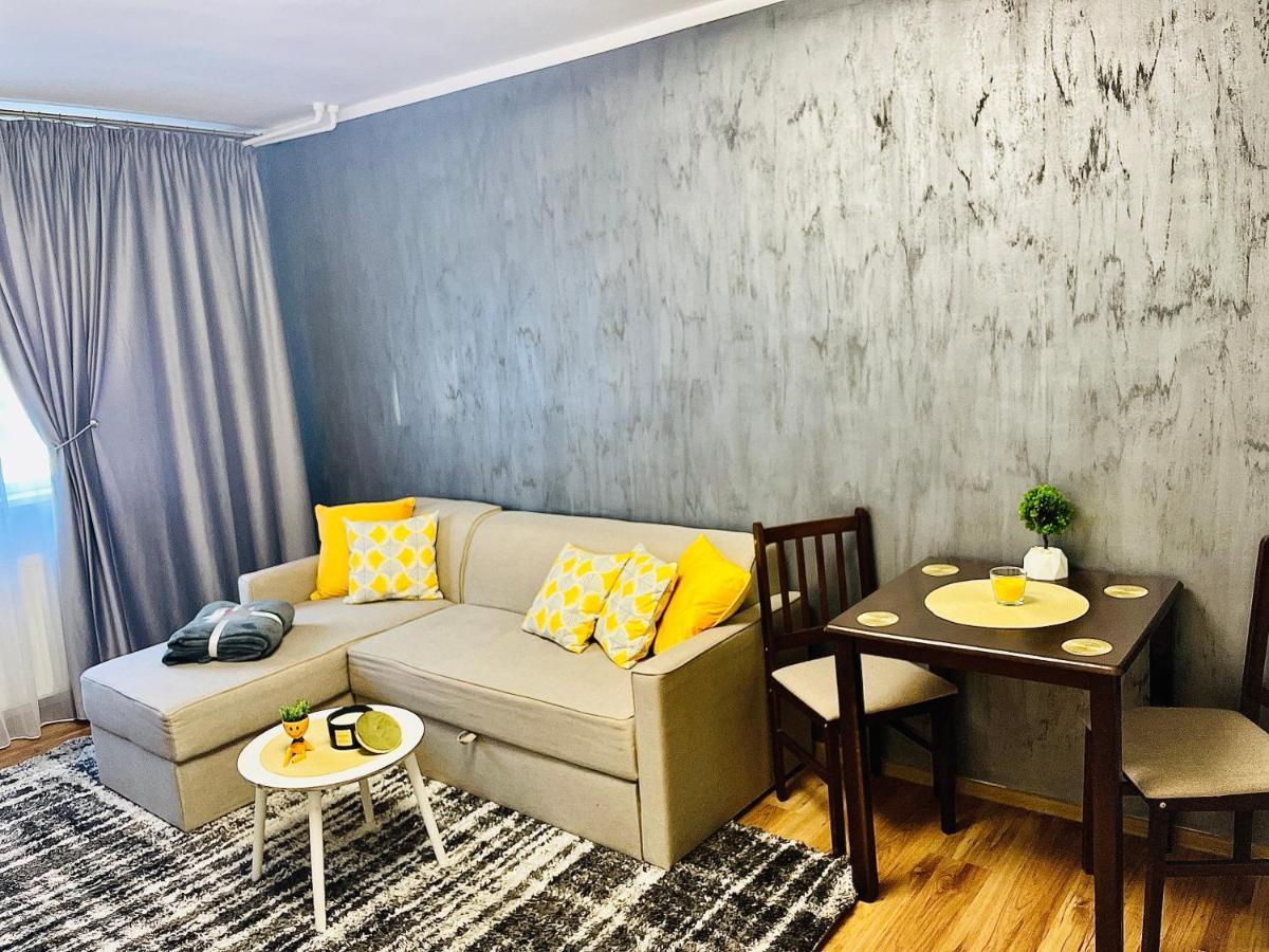 S&S Apartment Studio At Ground Floor Timisoara Town !!! Parcare La Locatie !! المظهر الخارجي الصورة
