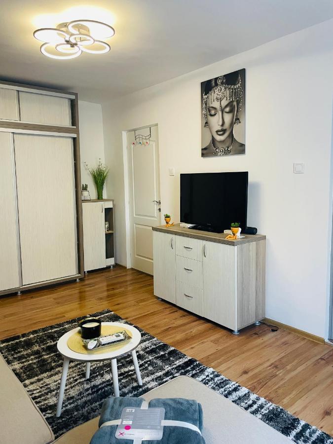 S&S Apartment Studio At Ground Floor Timisoara Town !!! Parcare La Locatie !! المظهر الخارجي الصورة