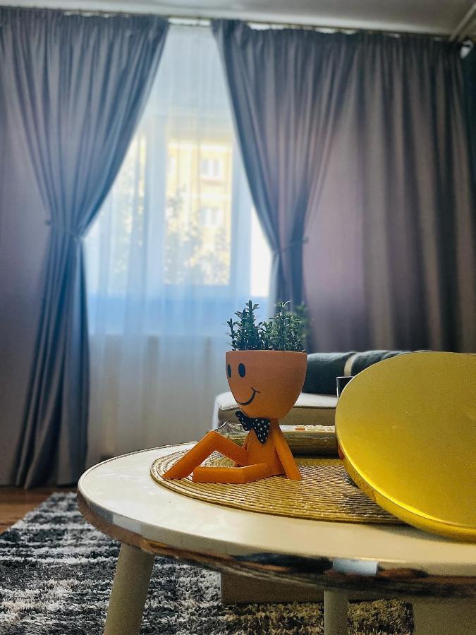 S&S Apartment Studio At Ground Floor Timisoara Town !!! Parcare La Locatie !! المظهر الخارجي الصورة