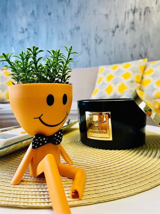 S&S Apartment Studio At Ground Floor Timisoara Town !!! Parcare La Locatie !! المظهر الخارجي الصورة