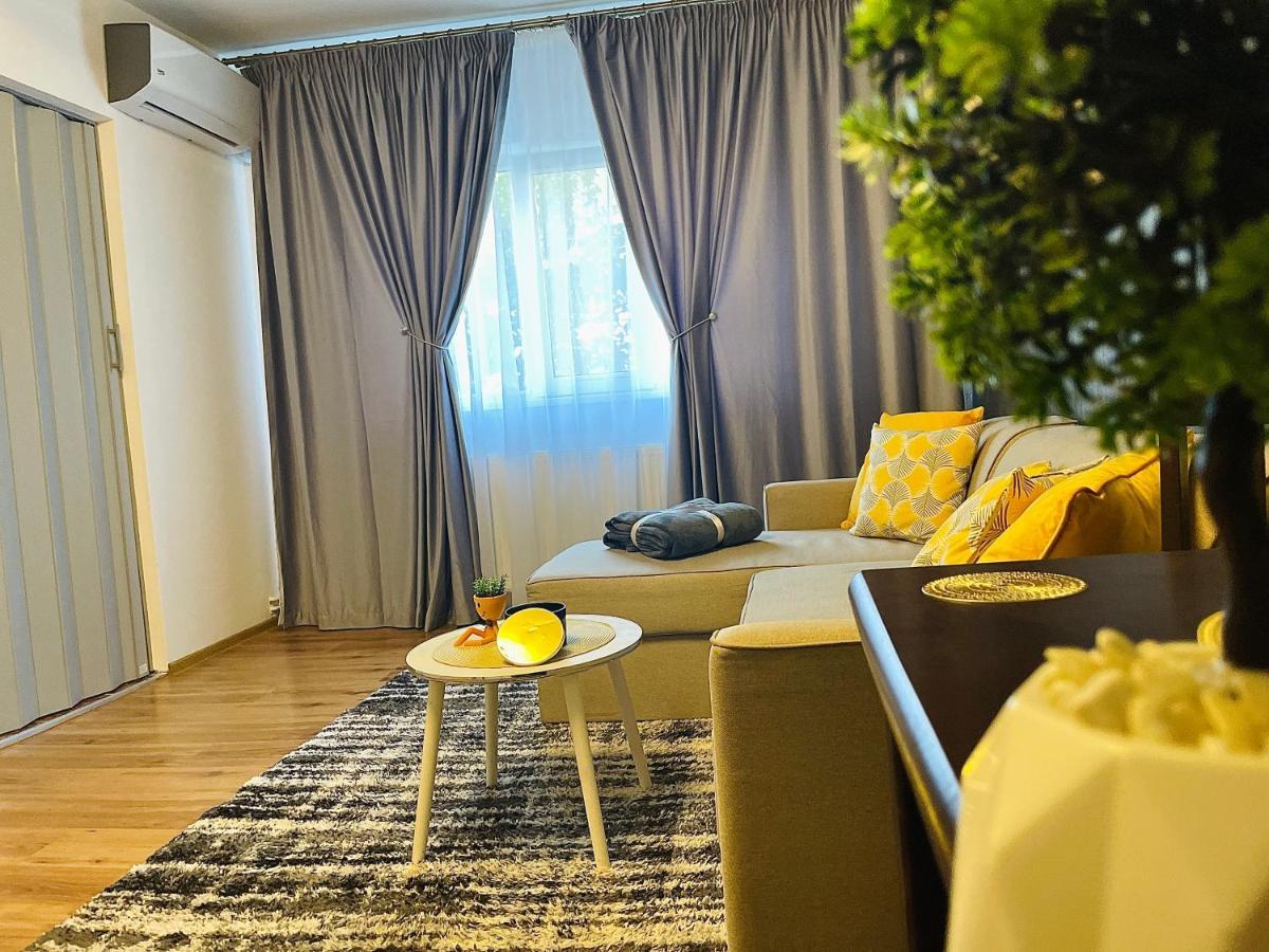 S&S Apartment Studio At Ground Floor Timisoara Town !!! Parcare La Locatie !! المظهر الخارجي الصورة